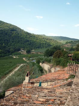 Old roof of the Tuscan villa amongst vineyards and an olive groves