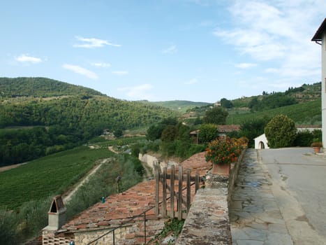 Old roof of the Tuscan villa amongst vineyards and an olive groves