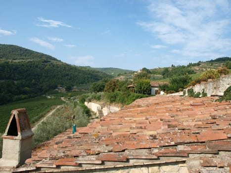 Old roof of the Tuscan villa amongst vineyards and an olive groves