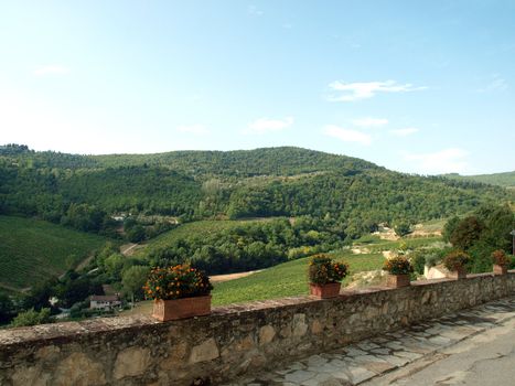 terrace with the view on vineyards in Tuscany