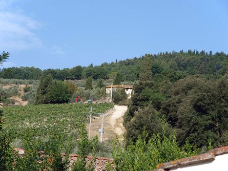 Villa in Tuscany amongst vineyards and an olive groves