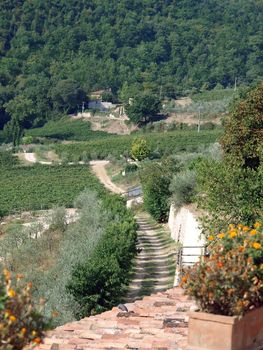 terrace with the view on vineyards in Tuscany