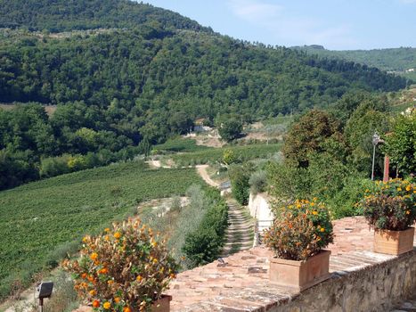 terrace with the view on vineyards in Tuscany