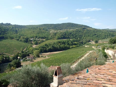 Old roof of the Tuscan villa amongst vineyards and an olive groves