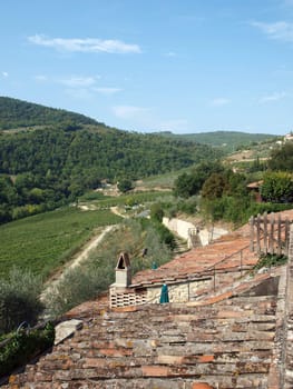 Old roof of the Tuscan villa amongst vineyards and an olive groves