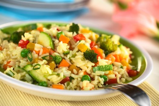 Vegetable risotto made of zucchini, pea, carrot, red bell pepper, broccoli and pumpkin (Selective Focus, Focus one third into the risotto) 