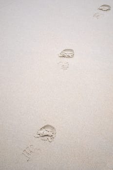 diagonal traces on wet white sand; sharp focus on central part