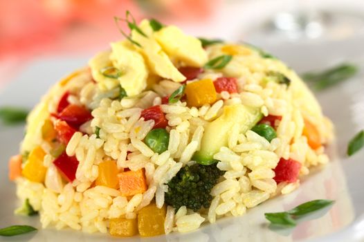 Vegetable risotto with scrambled egg on top garnished with shallot (Selective Focus, Focus on the front of the risotto pile)