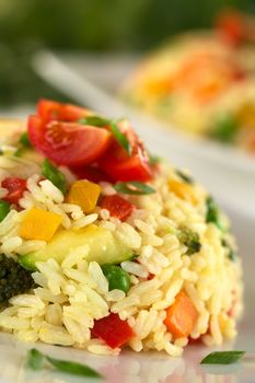 Vegetable risotto garnished with cherry tomato and shallot (Selective Focus, Focus on the lower part of the risotto)