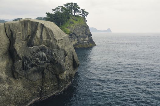 Huge rocks formation shoreline with scenic pine trees on the cliff top on Izu Peninsula in Japan