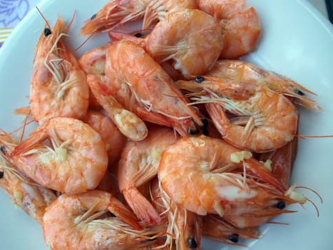 delicious plate of shrimp