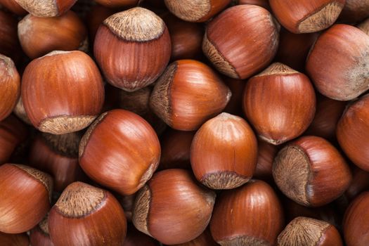 Closeup view of heap of hazelnuts