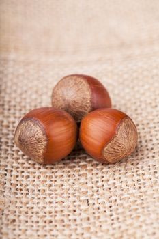 Closeup view of three hazelnuts on a sack texture