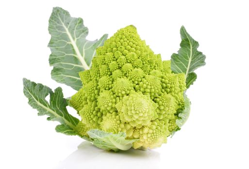 Rare broccoli. Romanesco broccoli cabbage, isolated on white background