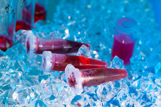 reaction plastic tube in a box full of ice