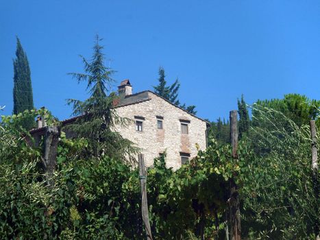 Villa in Tuscany amongst vineyards and an olive groves