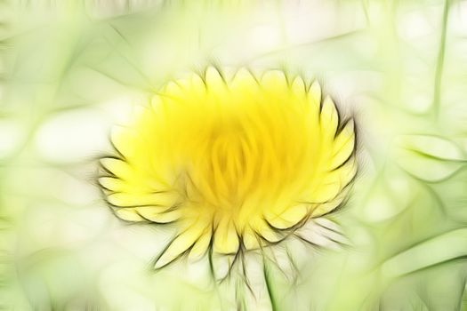 Abstract image -  the bloom of dandelion