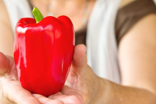 hand holding sweet pepper