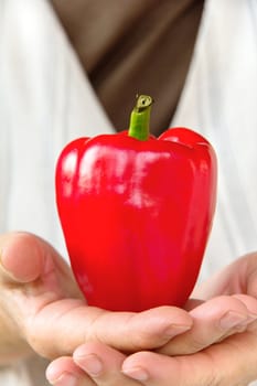 hand holding sweet pepper