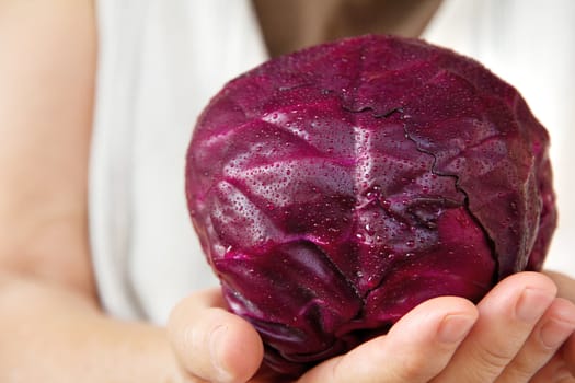 hand holding red cabbage