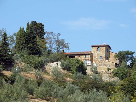 Vineyards and olive fields in Chianti, Tuscany