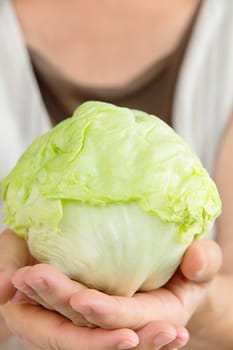 hand holding fresh cabbage
