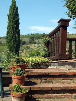 terrace with the view on vineyards in Tuscany