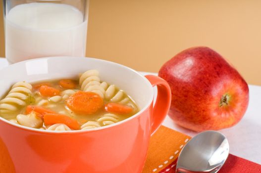 Bowl of healthy homemade chicken noodle soup.