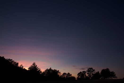 sunset in the forest. 
Canon 40D 17-55mm f:2,8