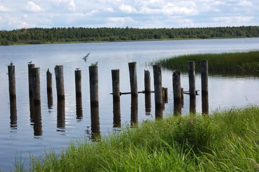 Riverbank with gulls on wooden columns, Onega river near Kargopol, north Russia