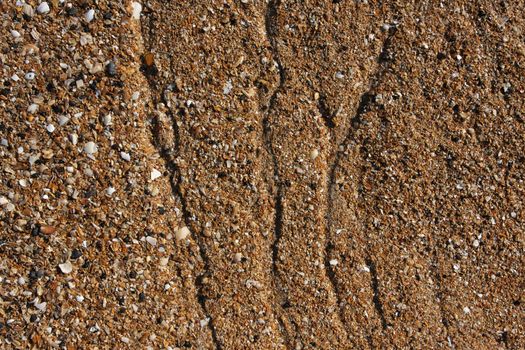 shell sand on the beach with water lines, great detail and texture