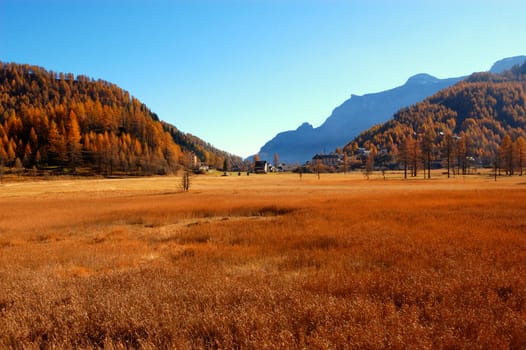 Panoramic view of field