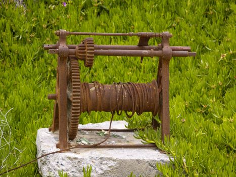 rusty winch and green succulent plants background