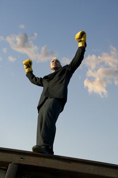 Businessman with punk hairdo and boxing gloves stands victorious with his arms in the air..