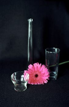 Glass things with rose flower on black background
