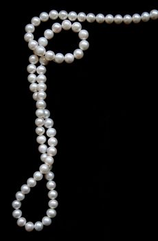 White pearls on the black velvet background 