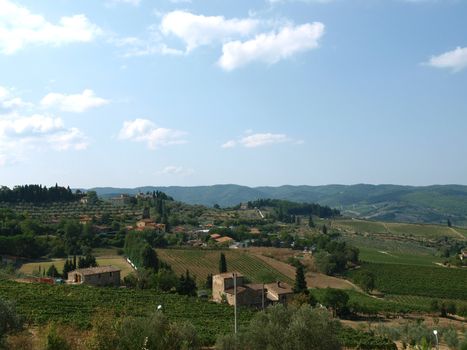 Vineyards and olive fields in Chianti, Tuscany