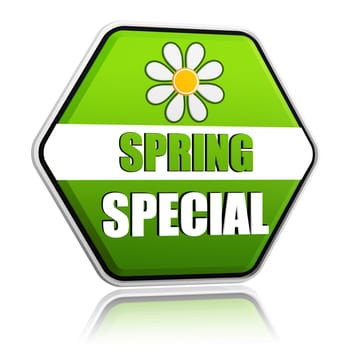 spring special banner - 3d green hexagon label with white text and flower, business sale concept