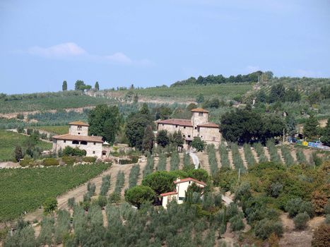 Villa in Tuscany amongst vineyards and an olive groves