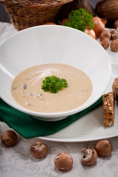 fresh chmapignon cream soup with parsley decorated on wooden table
