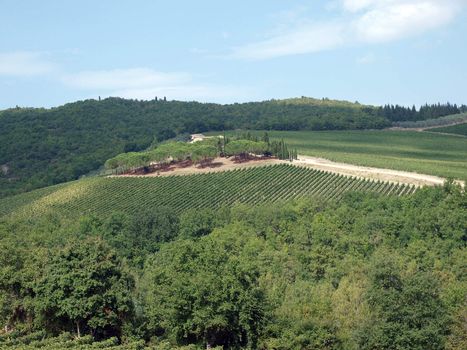Villa in Tuscany amongst vineyards and an olive groves