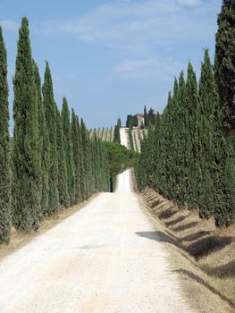 Tuscan landscape in the best edition