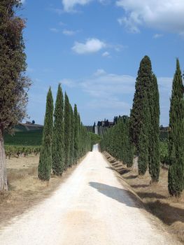 Tuscan landscape in the best edition