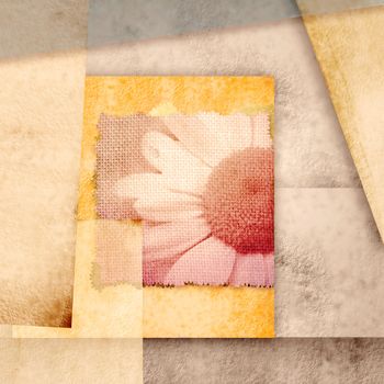 greeting card with daisies and abstracts paper background