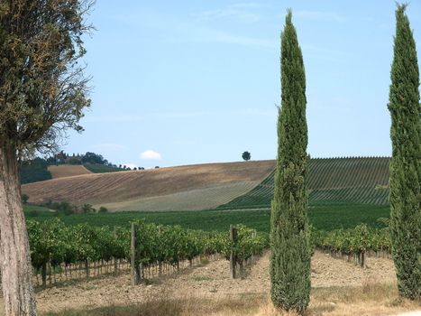 Tuscan landscape in the best edition