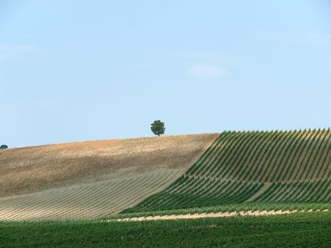 Tuscan landscape in the best edition
