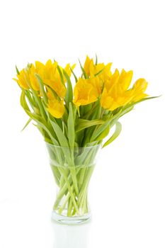 yellow tulips in a vase on a light background