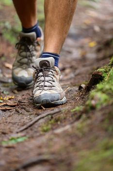 Hiker - hiking shoes closeup from hike walk. Walking male shoes with copy space. From forest.