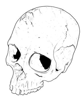 Hand drawn skull. very high quality and very original.