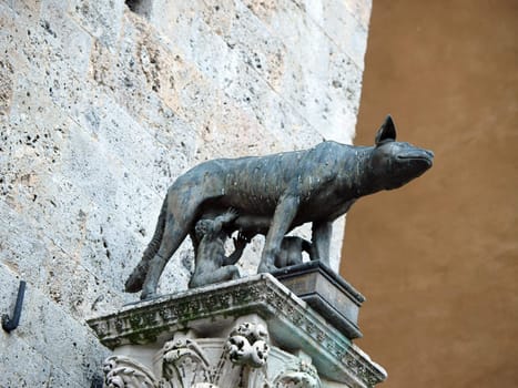 Siena - the town's emblem; a she-wolf suckling the infants Romulus and Remus.